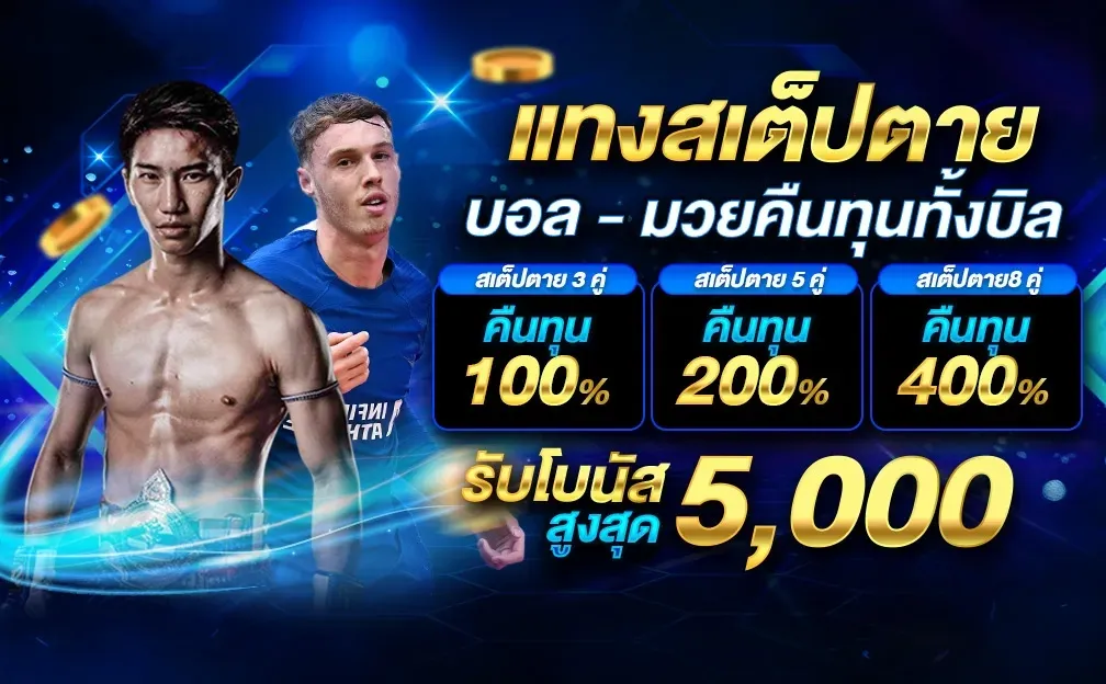 โปรโมชั่น2